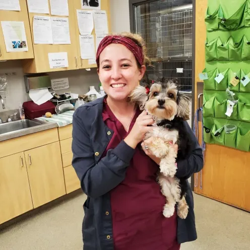 Glen Ellyn staff member holding a dog inside the animal hospital