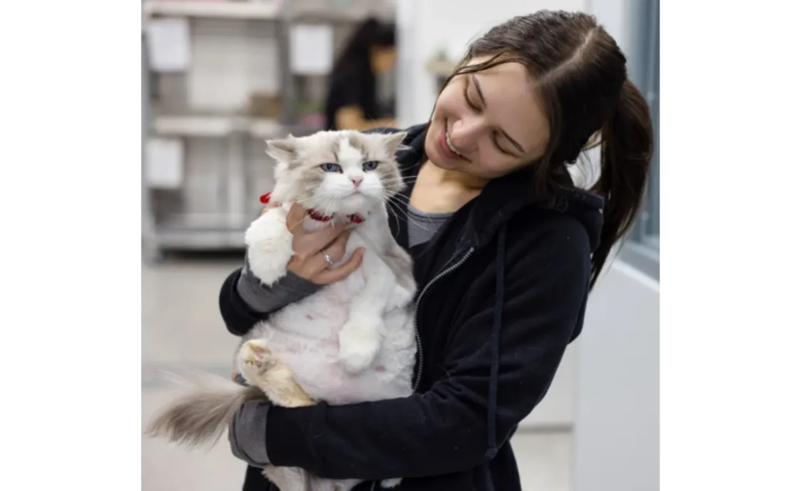 Staff Member Holding a Cat Staff Member Holding a Cat
