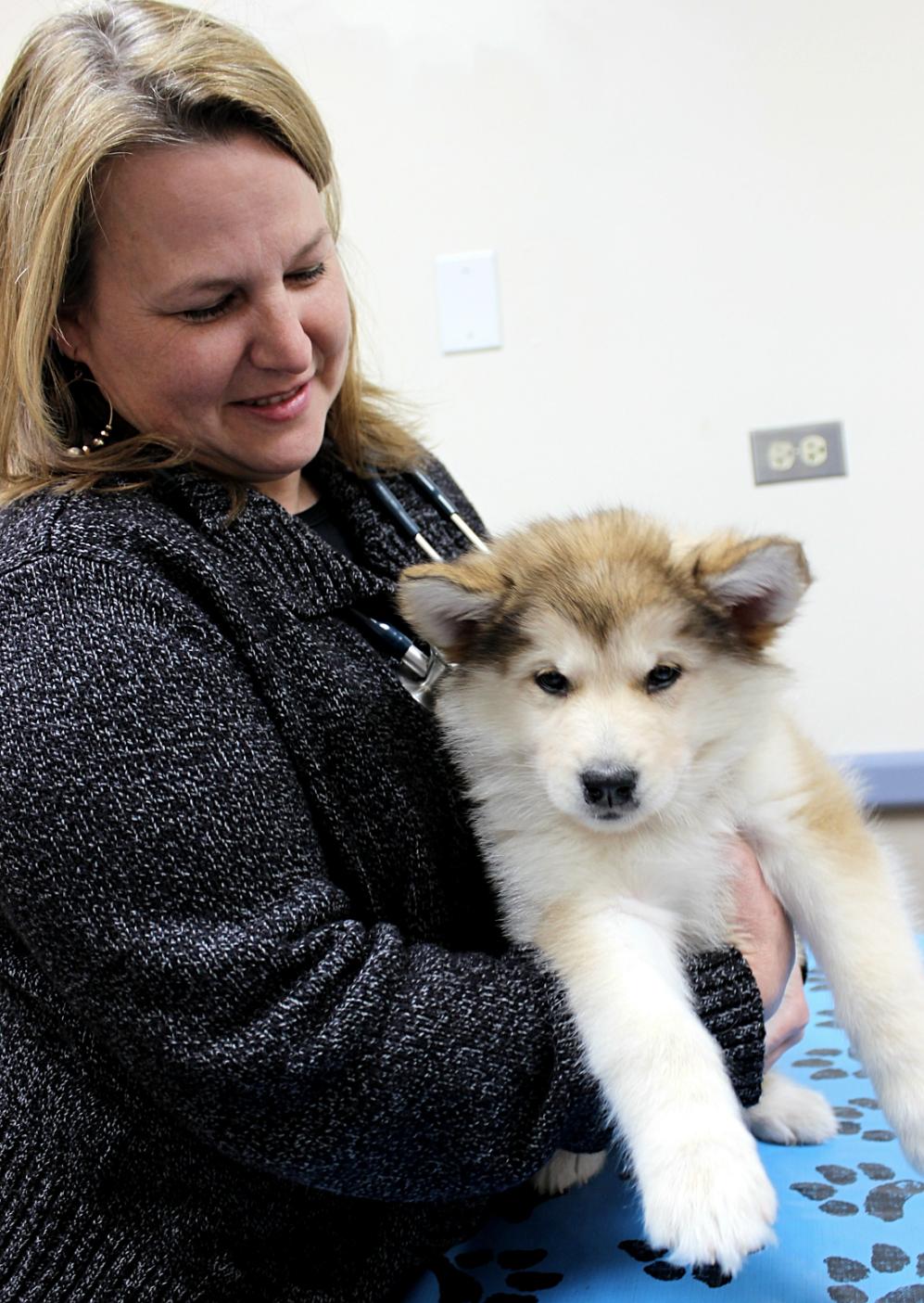Gillian holding a small white puppy