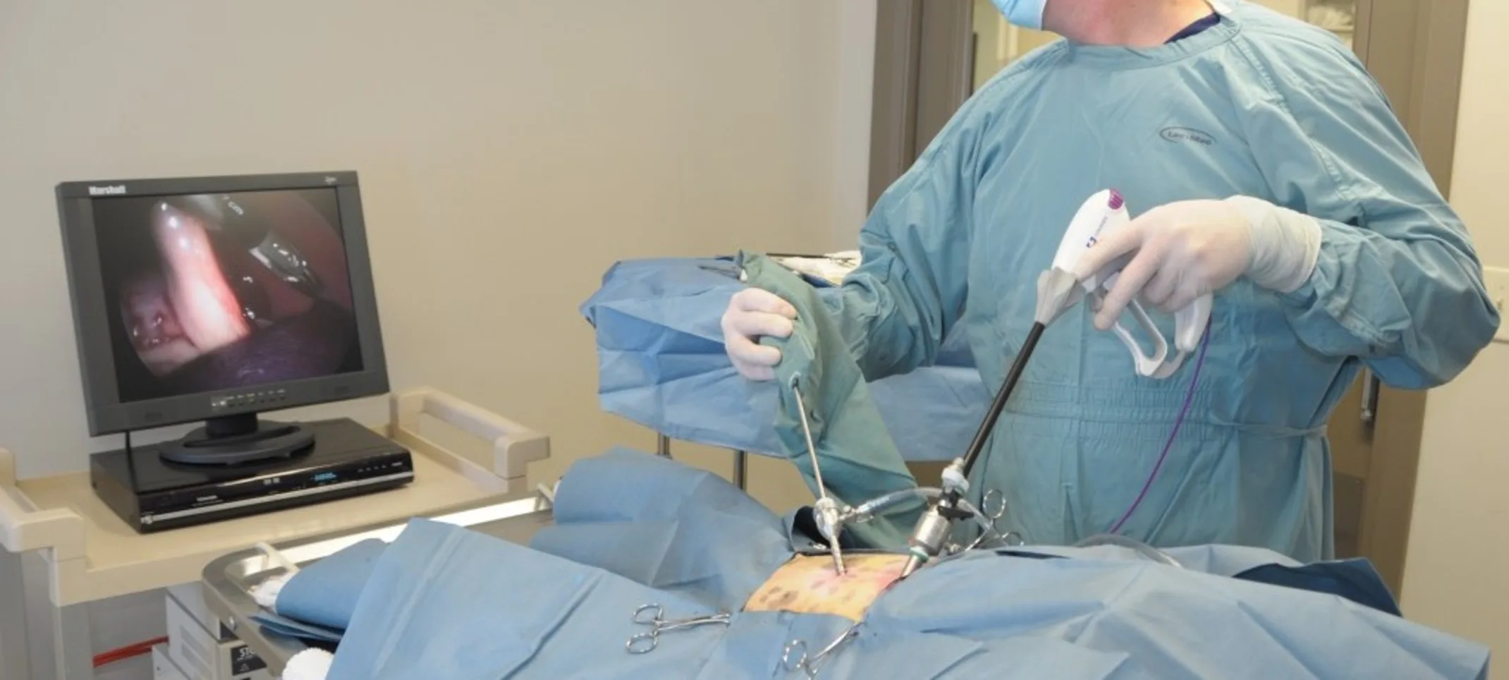 Vet performing a laparoscopic spay on a patient Vet performing a laparoscopic spay on a patient