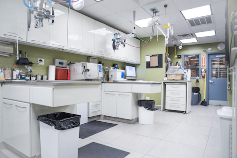 Animal Kind Veterinary Hospital Treatment Area