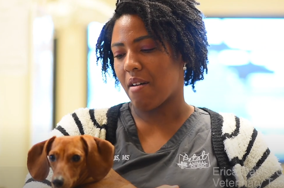 Rehab specialist with dog