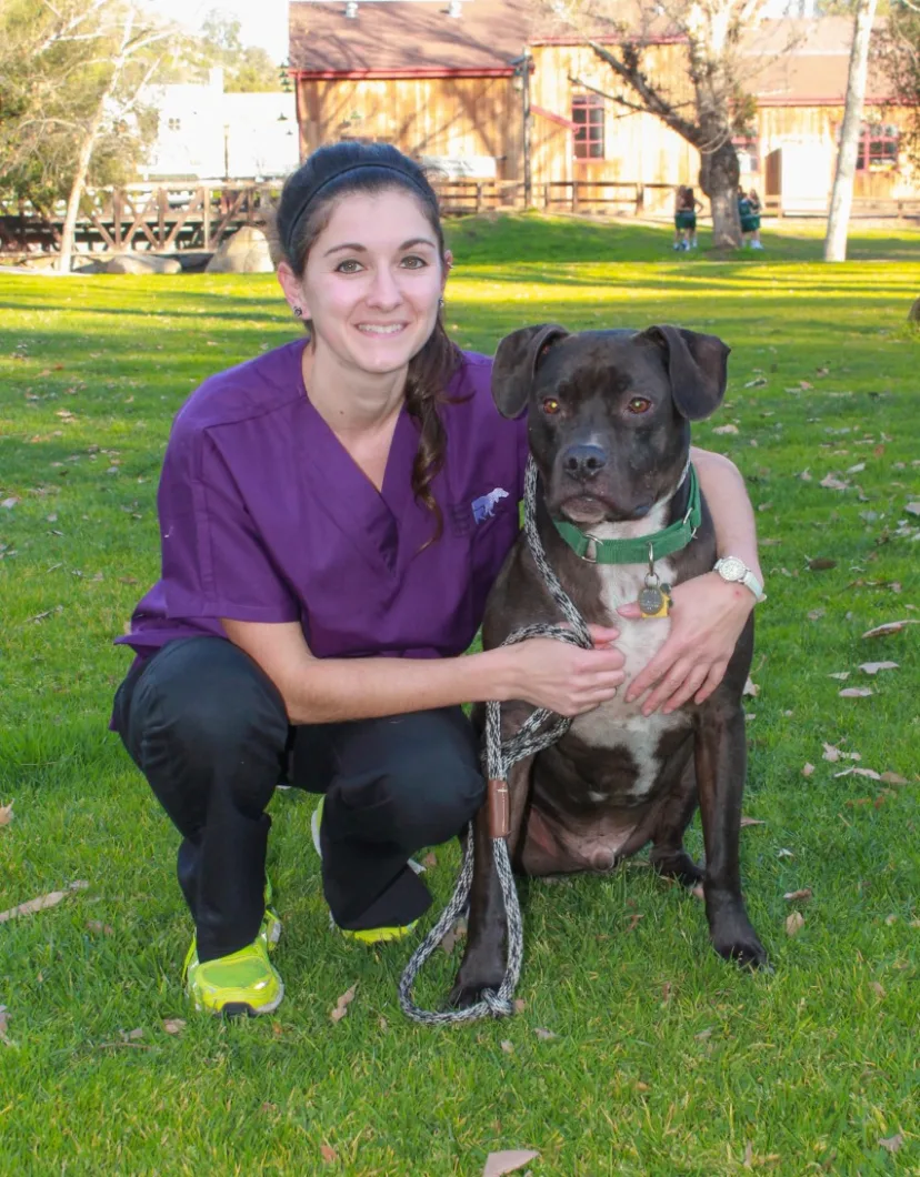Amelia, Registered Veterinary Technician at Midland Animal Clinic