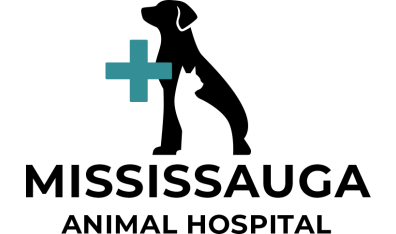 Mississauga Animal Hospital Logo