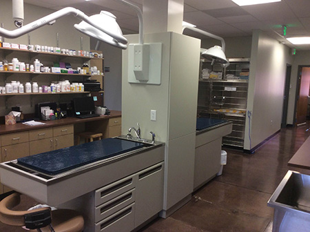 Foxtail Pines Veterinary Hospital Treatment Areas