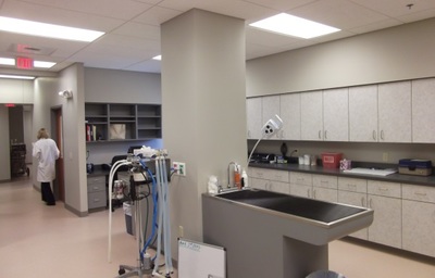 King of Prussia Veterinary Hospital Treatment Area