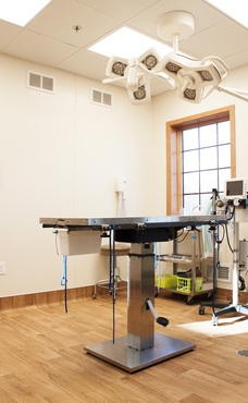 Veterinary surgery table