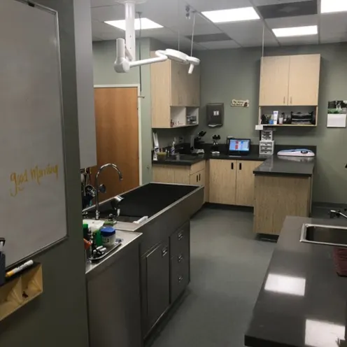 Calabasas Animal Clinic Treatment Area that shows a large and small stainless steal sink, white board and medical equipment and supplies