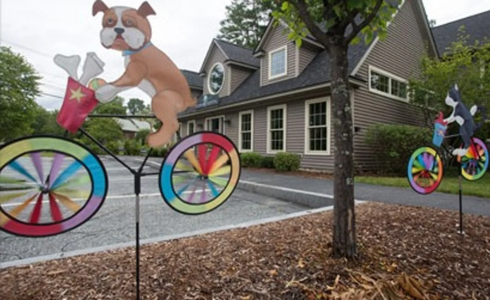 Exterior of Stoney Brook Veterinary Hospital featuring dog on bicycle with pinwheel wheels as yard decor 