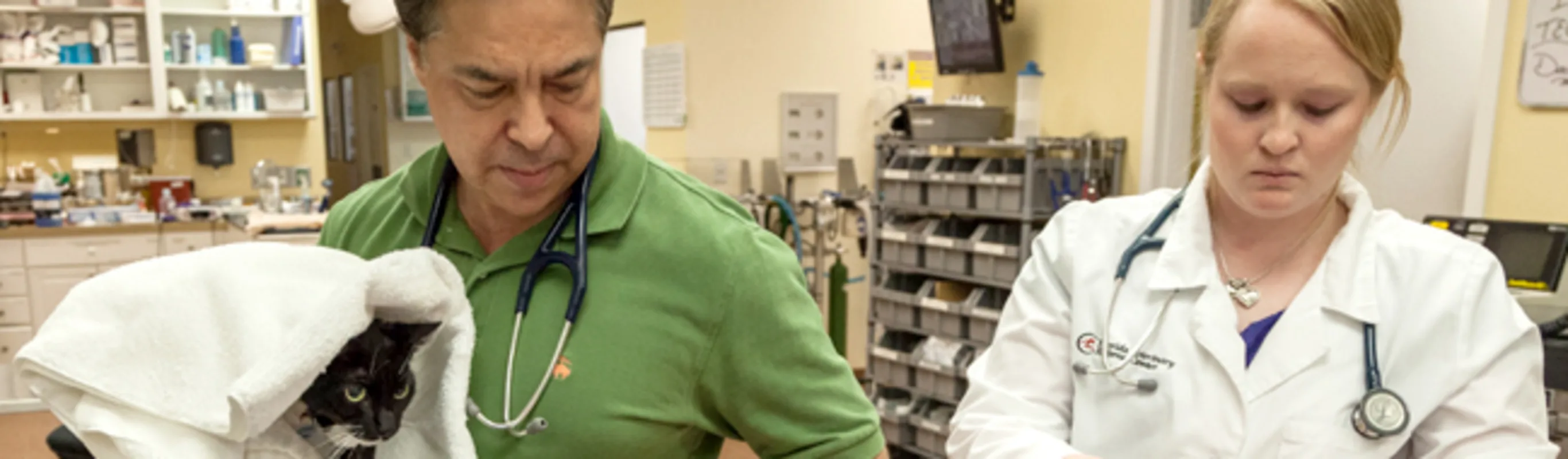 veterinarians helping pet veterinarians helping pet