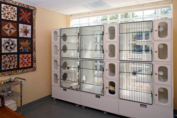 Park Centre Animal Hospital Cat Condos