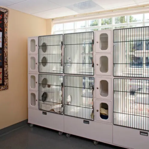 Park Centre Animal Hospital Cat Condos Park Centre Animal Hospital Cat Condos