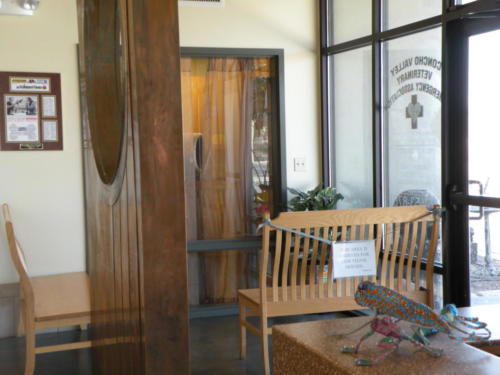 Feline Waiting Room at Southside Animal Hospital