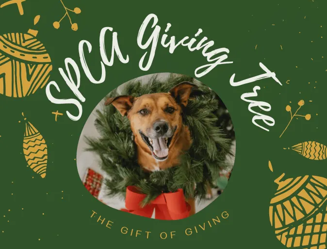 SPCA Holiday Giving Tree Poster