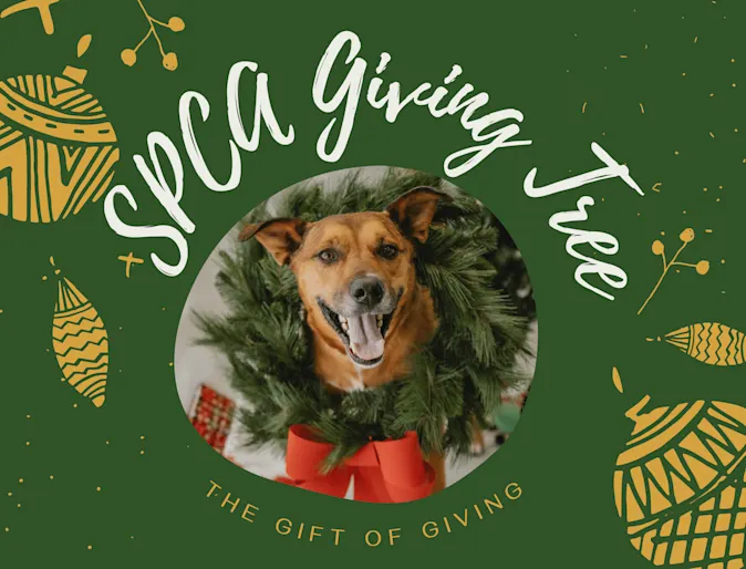 SPCA Holiday Giving Tree Poster SPCA Holiday Giving Tree Poster