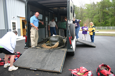 Safe Trailering in an Emergency