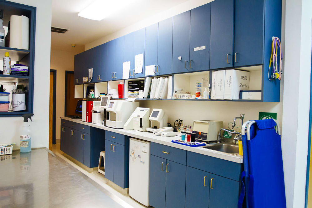 St. Francis 24 Hour Animal Hospital Lab