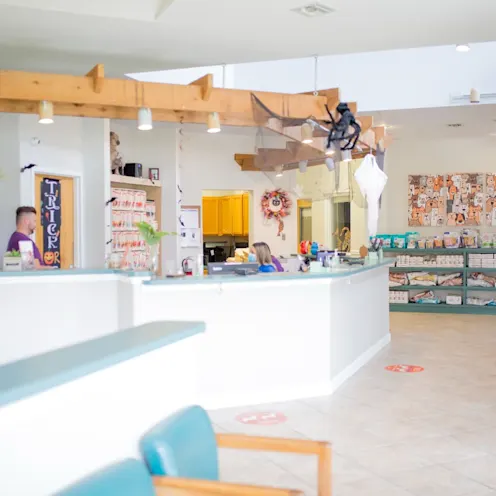 Lobby at University Animal Hospital Orlando. Lobby at University Animal Hospital Orlando.