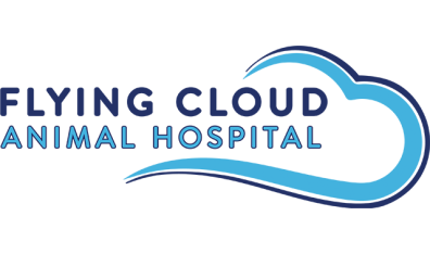 Flying Cloud Animal Hospital-HeaderLogo