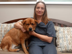 Our Veterinarians in Austin TX Love Pet Hospital