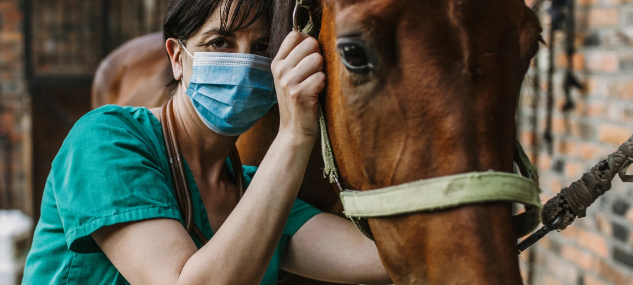 Doctor Examine Mask Stable