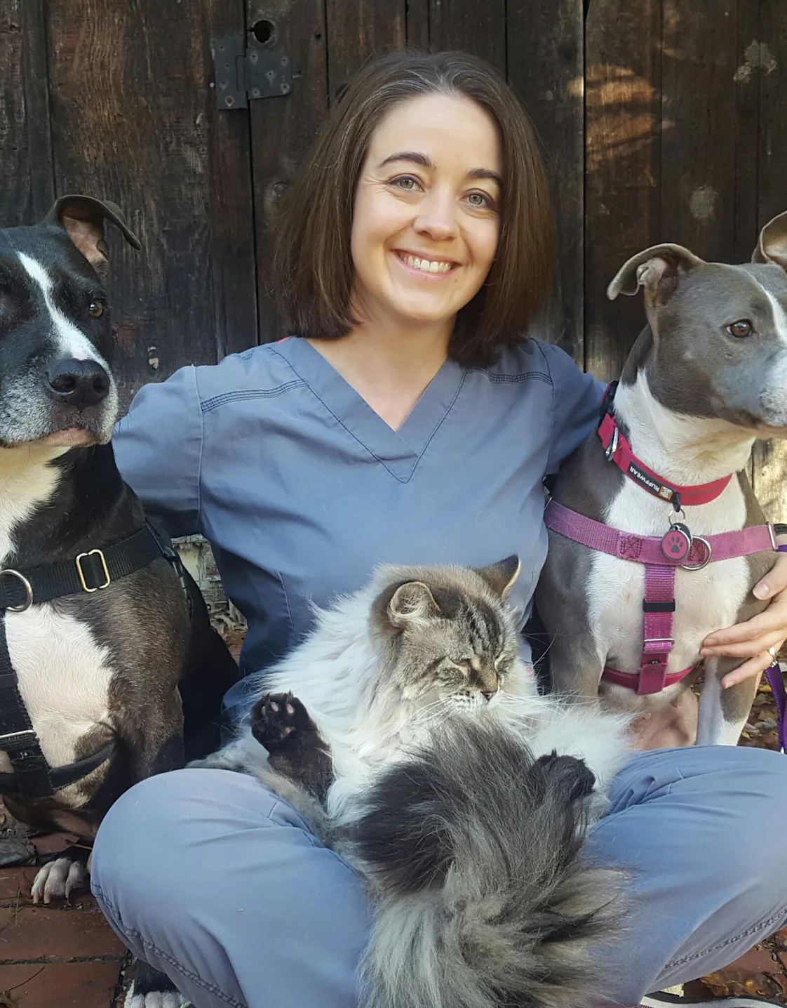 Mary with some animals Mary with some animals