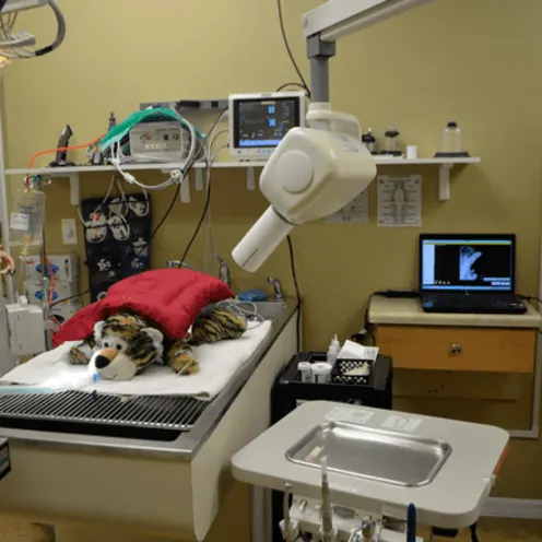 Critical Care/Surgical Center - Dental Equipment Critical Care/Surgical Center - Dental Equipment