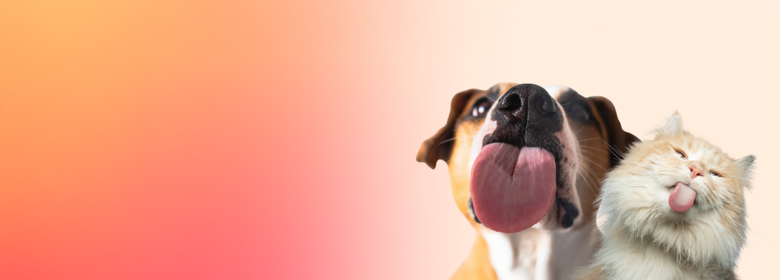 Fresh Kisses Promo (Dog)