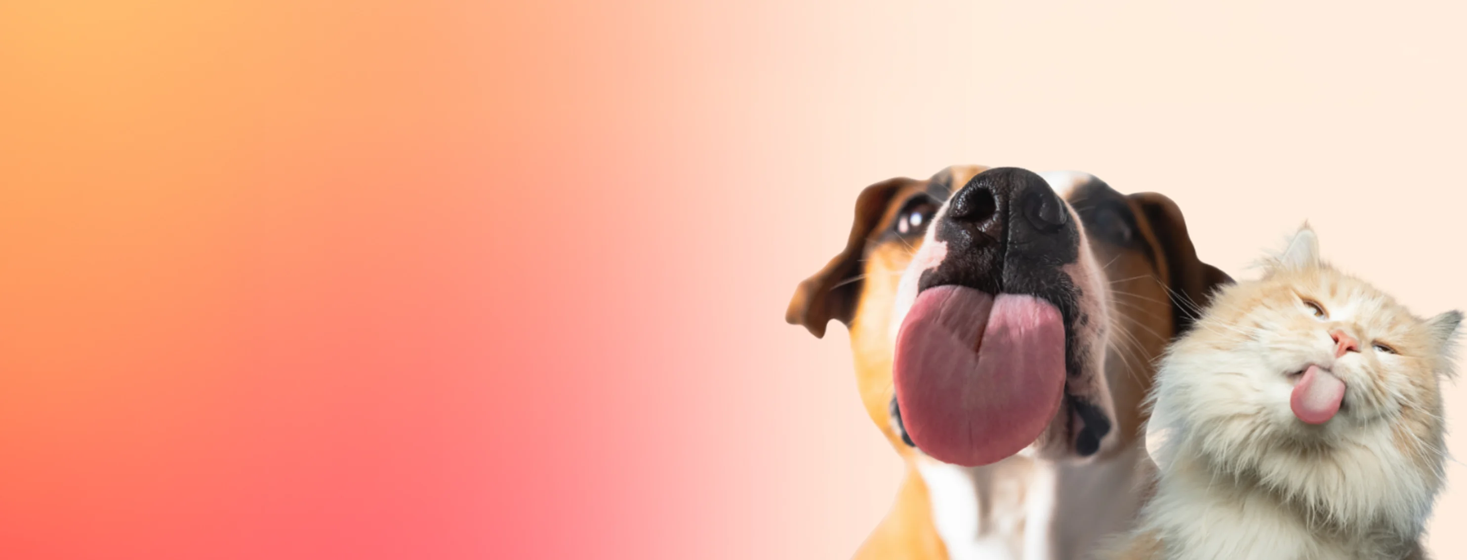 Fresh Kisses Promo (Dog) Fresh Kisses Promo (Dog)