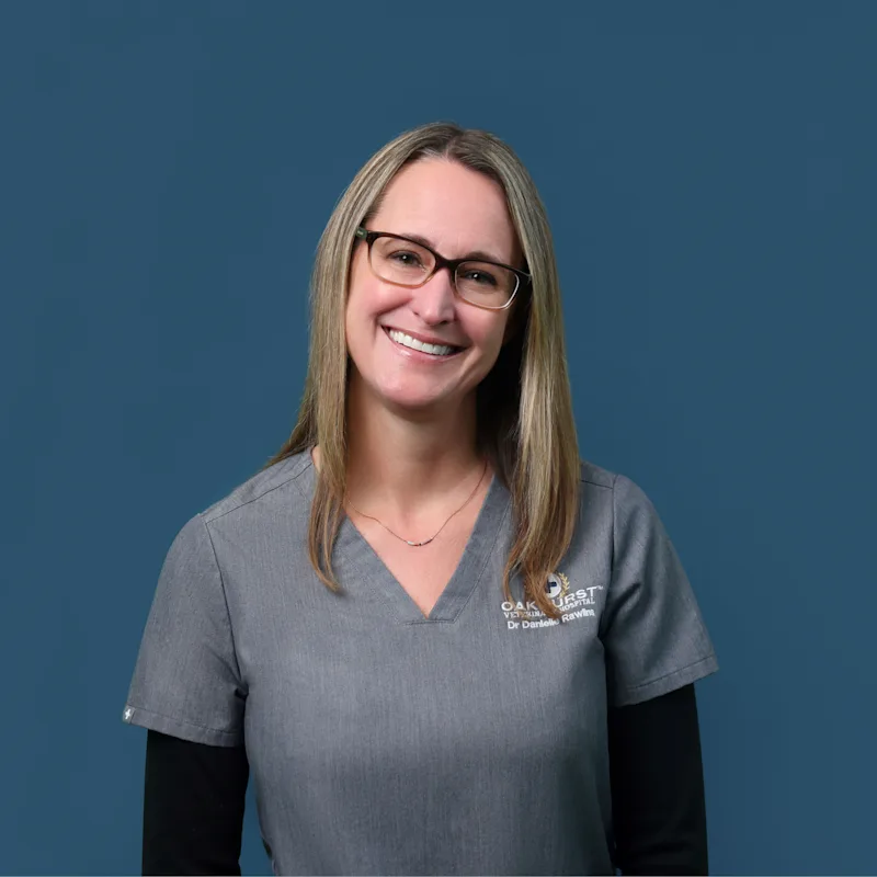 Dr. Danielle Rawlins hugging a Labrador Retriever Dr. Danielle Rawlins hugging a Labrador Retriever