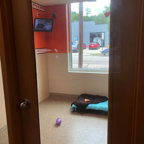 Cincinnati Bengals 35 view from door Cincinnati Bengals 35 view from door