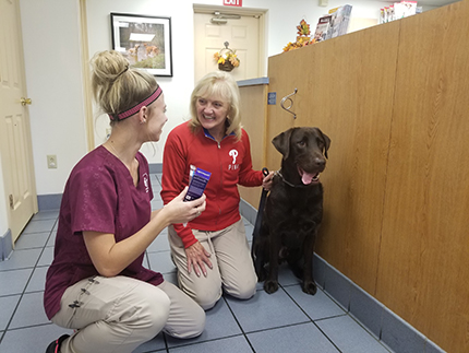Brown lab with it's tongue out and two staff members.