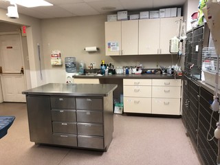 St. George Hunt Memorial Veterinary Hospital Treatment Area