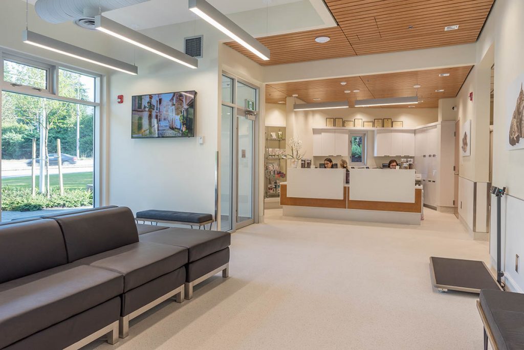 Inside Mountainside 24/7 Animal Emergency