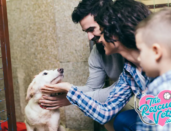 Family with dog at shelter adopting as a pet