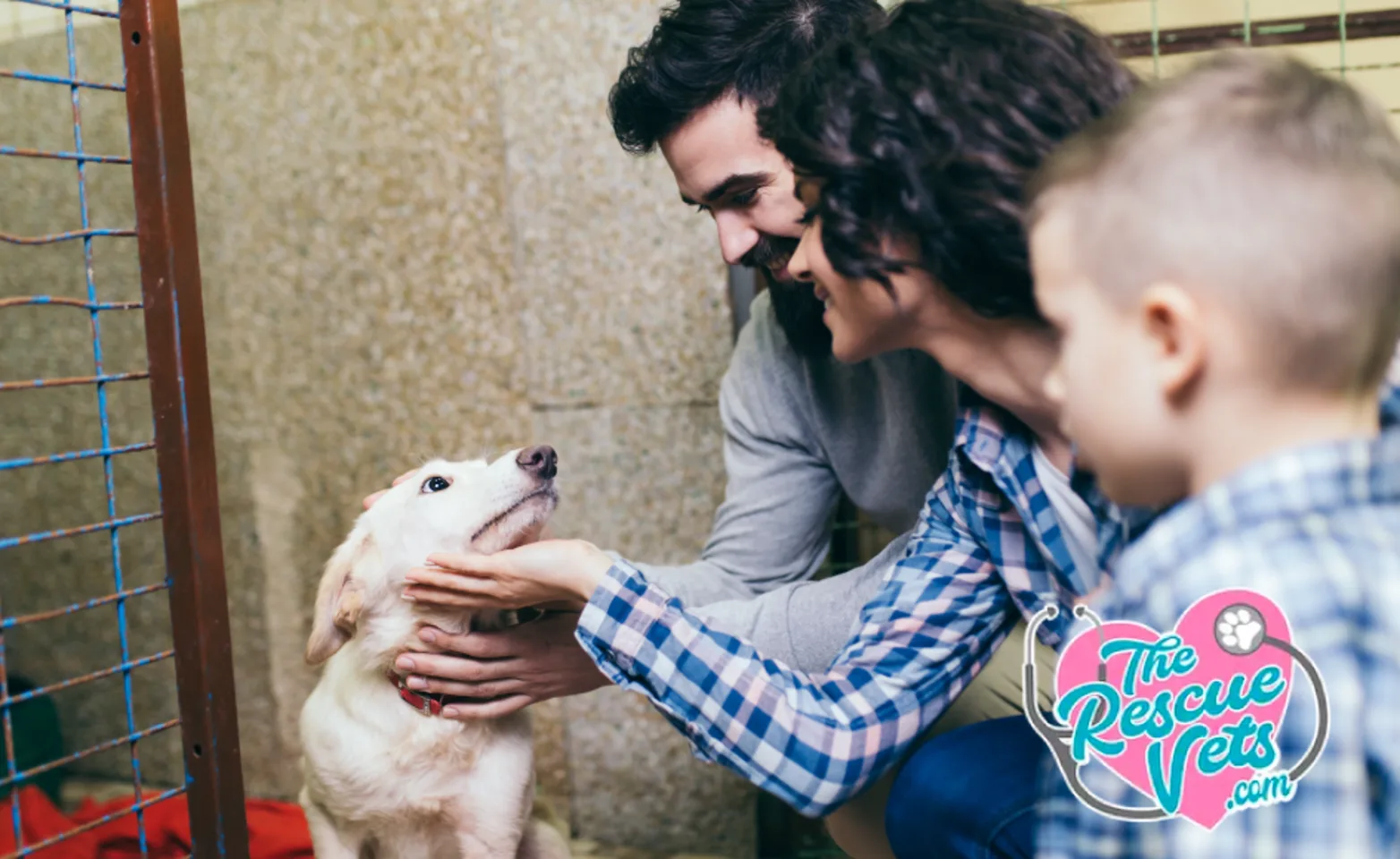 Family with dog at shelter adopting as a pet Family with dog at shelter adopting as a pet
