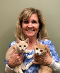 Marilyn inside holding two small tan cats