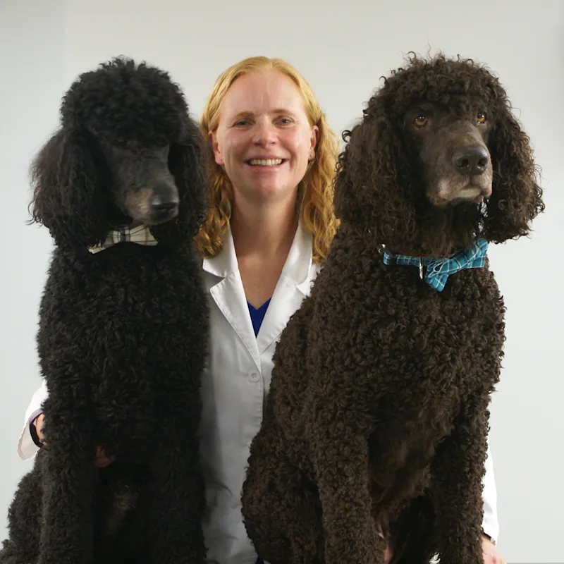 Dr. Kathleen Mohlman Dr. Kathleen Mohlman