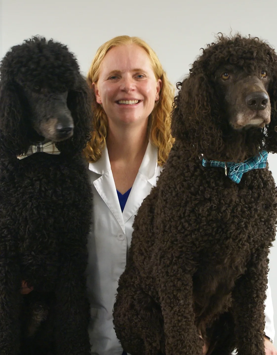 Dr. Kathleen Mohlman Dr. Kathleen Mohlman