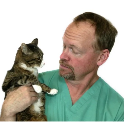 Dr. Preston Stubbs at Overland Animal Hospital