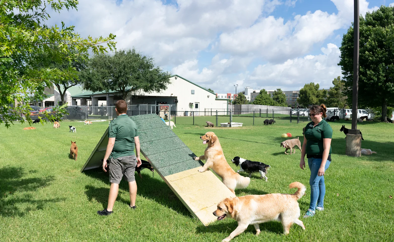 Staff playing with dogs outside Rover Oaks Pet Resort Staff playing with dogs outside Rover Oaks Pet Resort