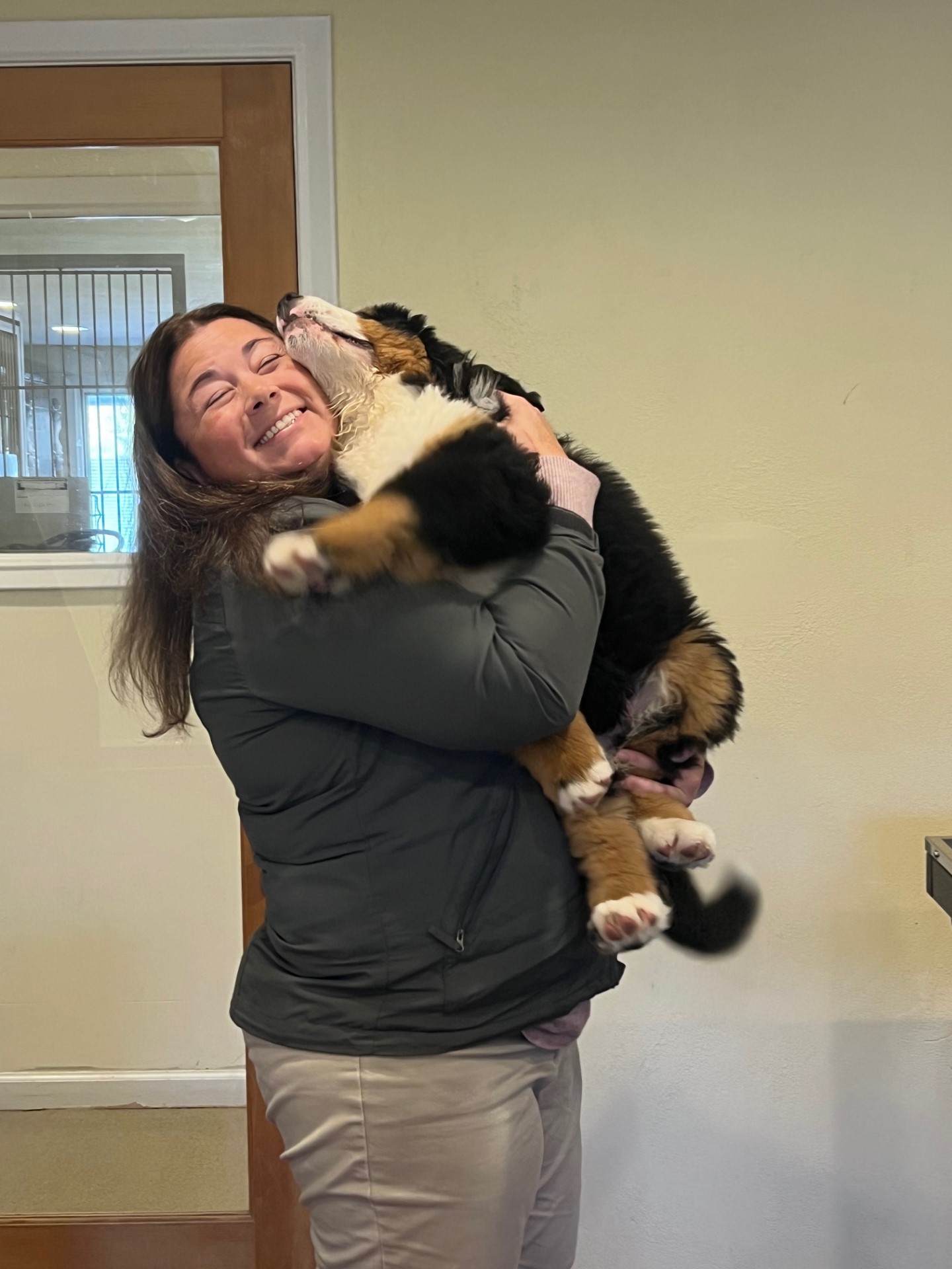 Hugs at Coventry Animal Hospital