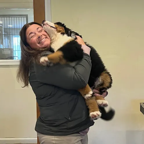 Hugs at Coventry Animal Hospital Hugs at Coventry Animal Hospital