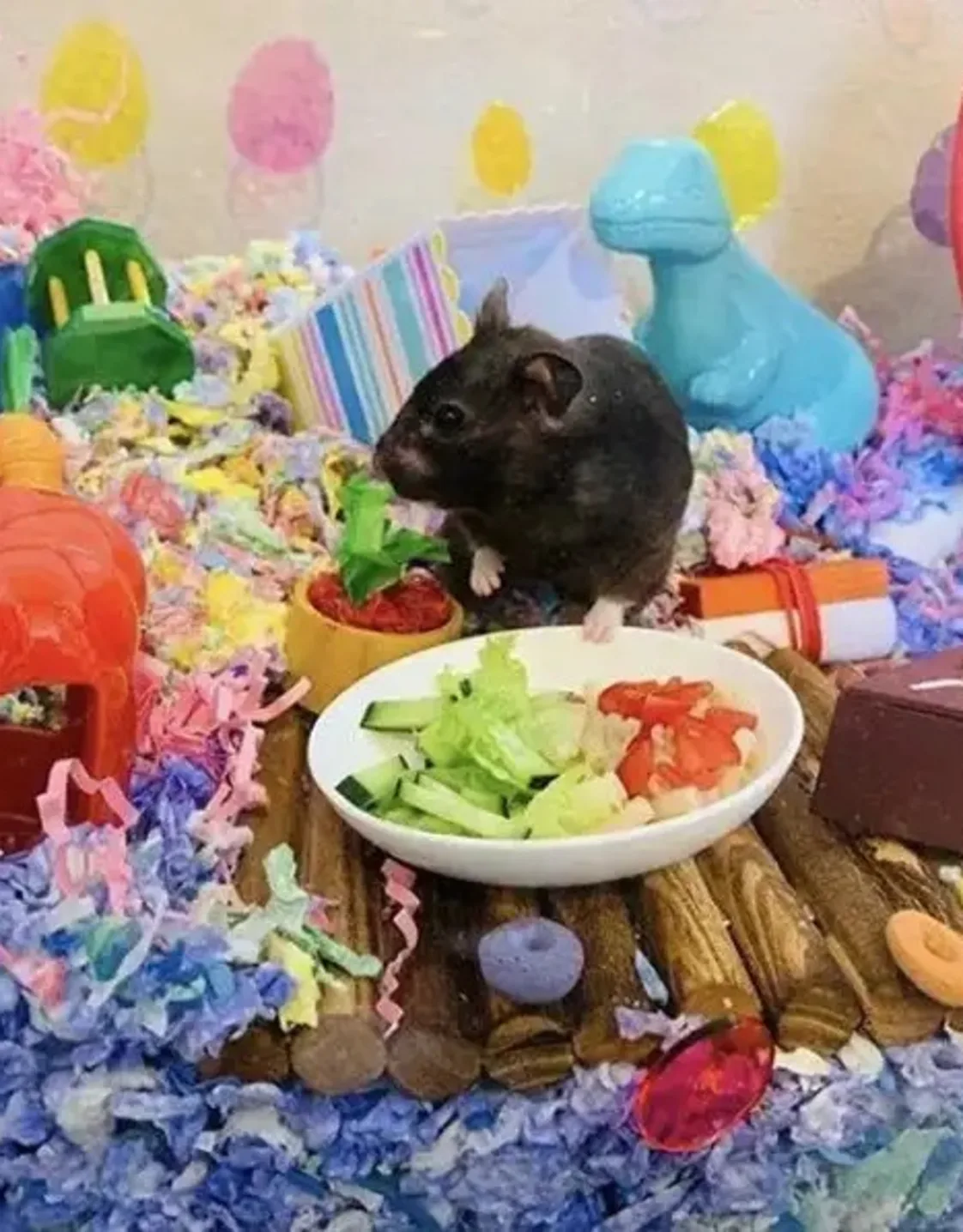 Musubi Musubi