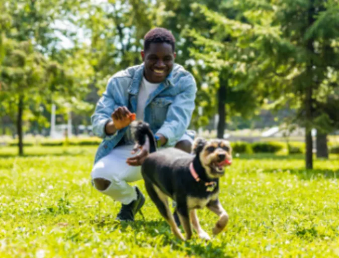 Man Playing with Dog at the Park Man Playing with Dog at the Park