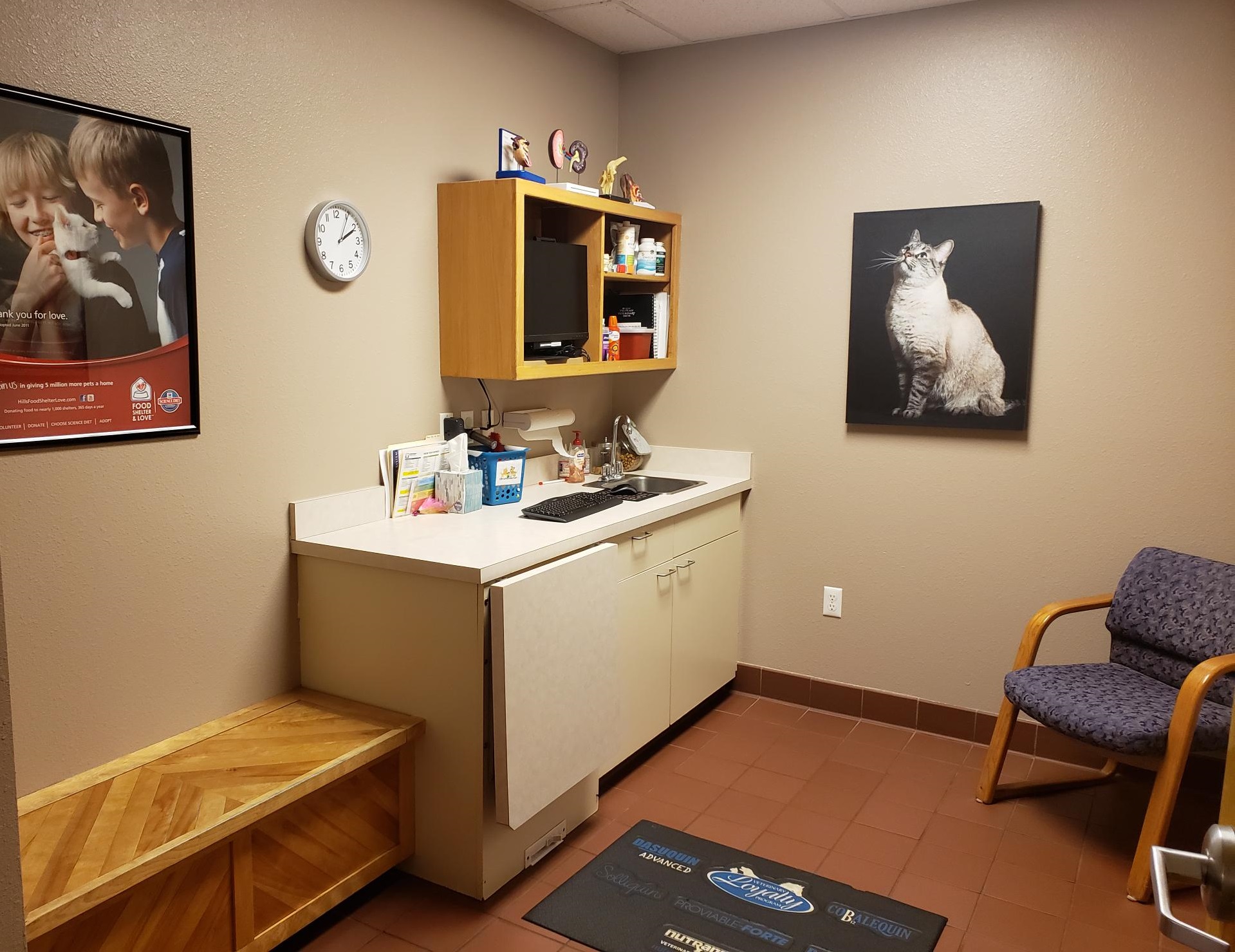 Cat examination room at Friendship Hospital for Animals