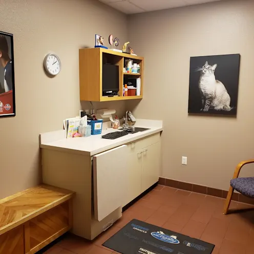 Cat examination room at Friendship Hospital for Animals Cat examination room at Friendship Hospital for Animals