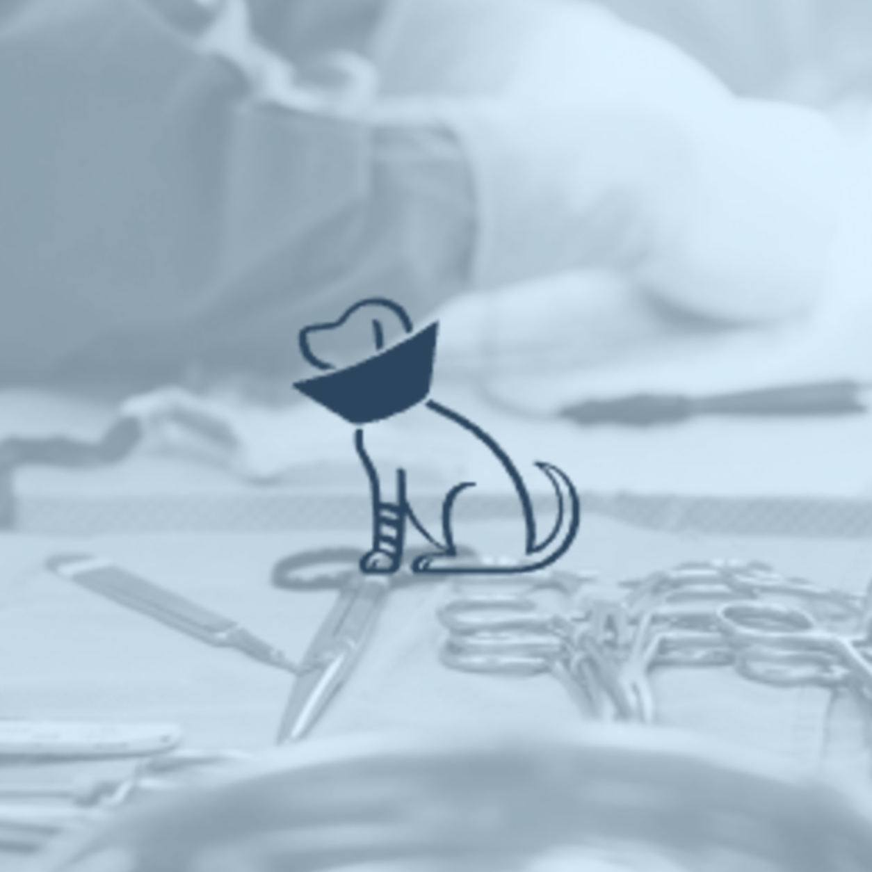 Surgical instruments and a logo with a dog in a cone