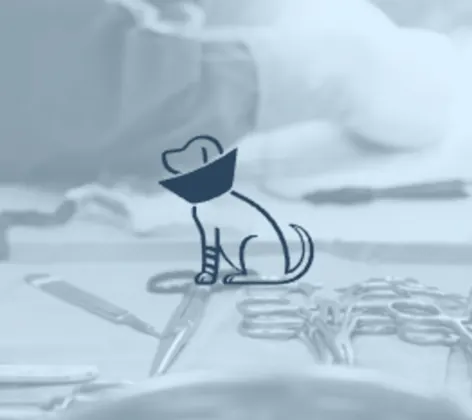 Surgical instruments and a logo with a dog in a cone Surgical instruments and a logo with a dog in a cone