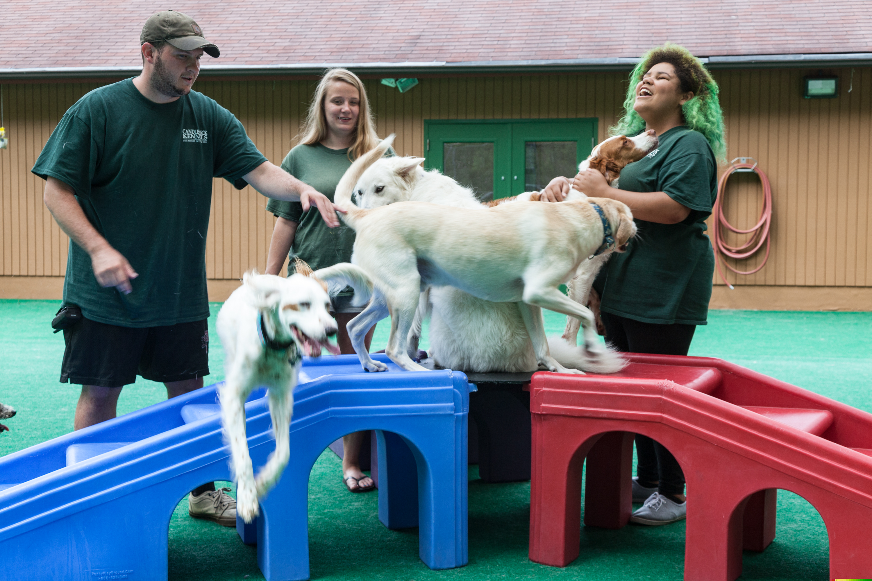 Candlewick Kennels Daycare